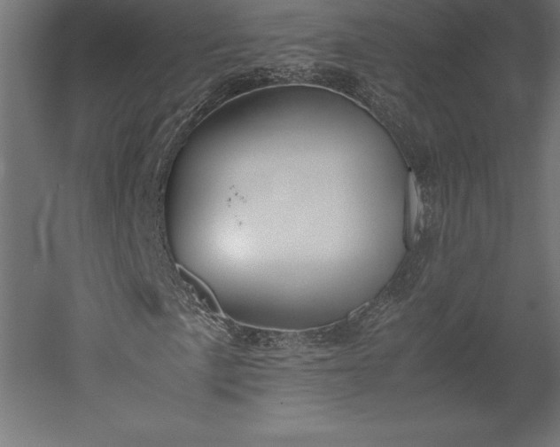 X0000051911057200507011528