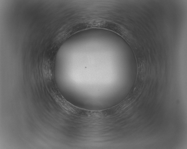 X0000051911058200507011528