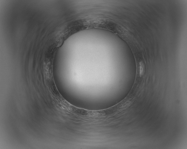 X0000051911059200507011528