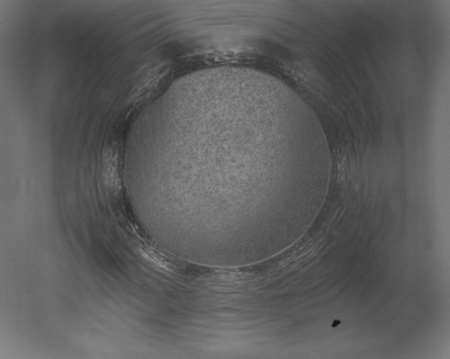 X0000051911060200507011528