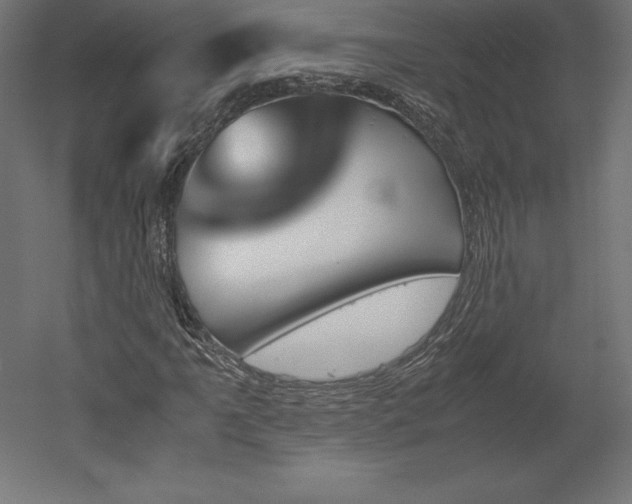 X0000051911061200507011528