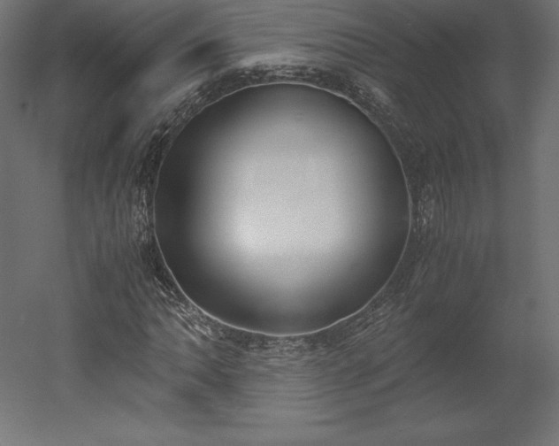 X0000051911062200507011528