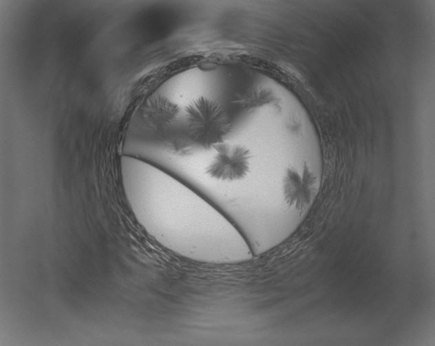 X0000051911063200507011528