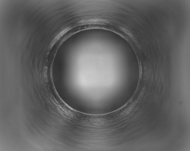 X0000051911066200507011527