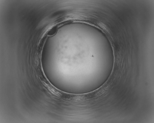 X0000051911067200507011527