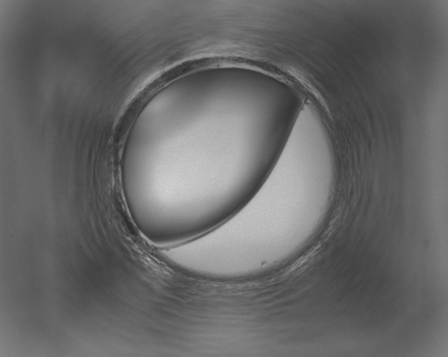 X0000051911069200507011527