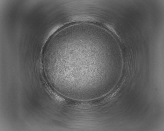 X0000051911071200507011527