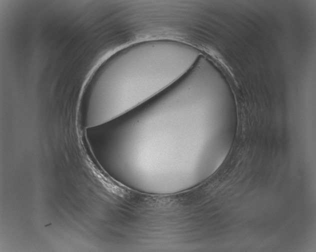 X0000051911072200507011527