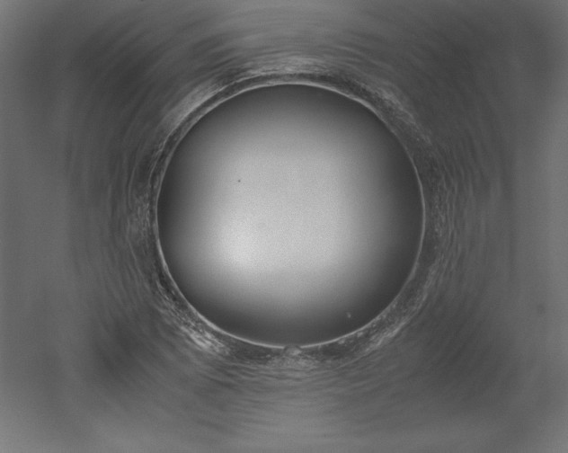 X0000051911073200507011527