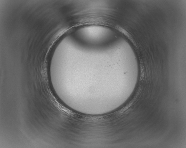 X0000051911074200507011527