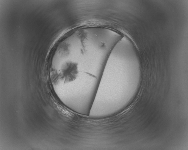 X0000051911075200507011527