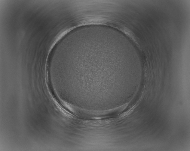 X0000051911077200507011527