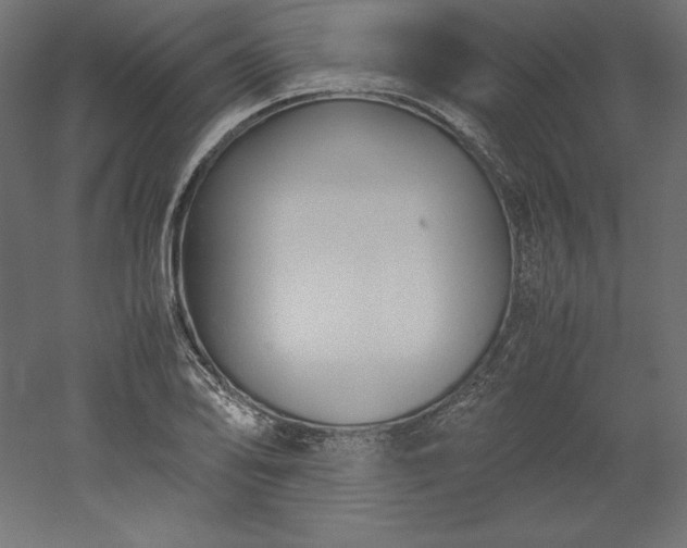 X0000051911078200507011527