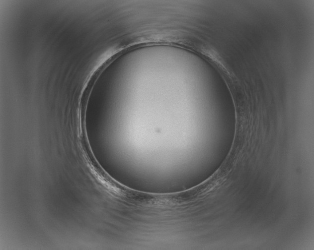 X0000051911079200507011527