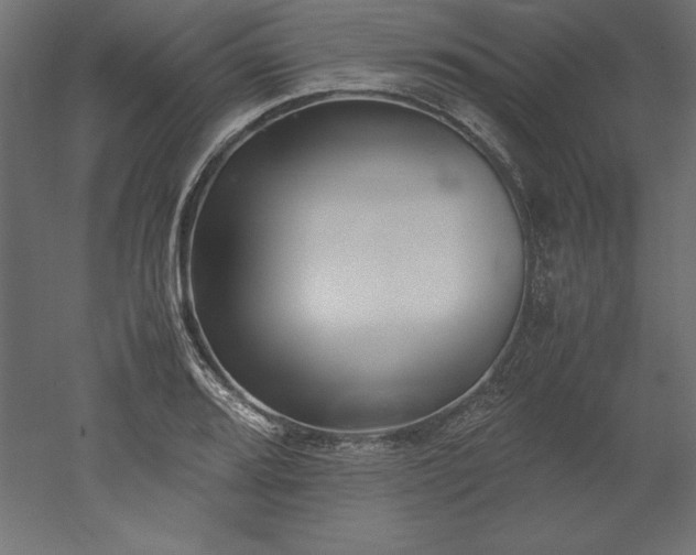 X0000051911080200507011527