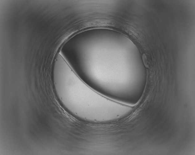 X0000051911081200507011527