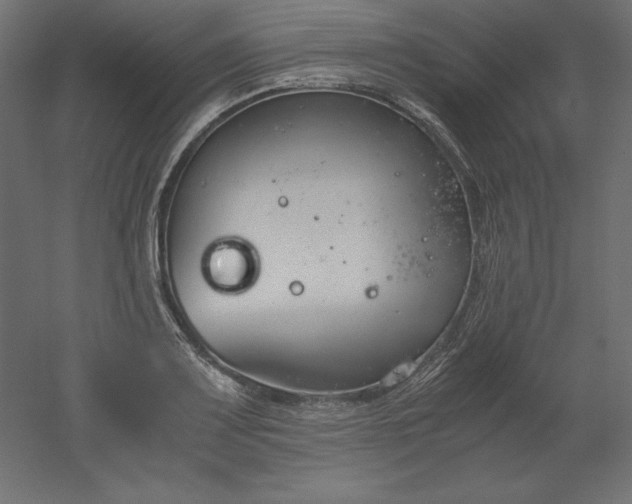 X0000051911083200507011527