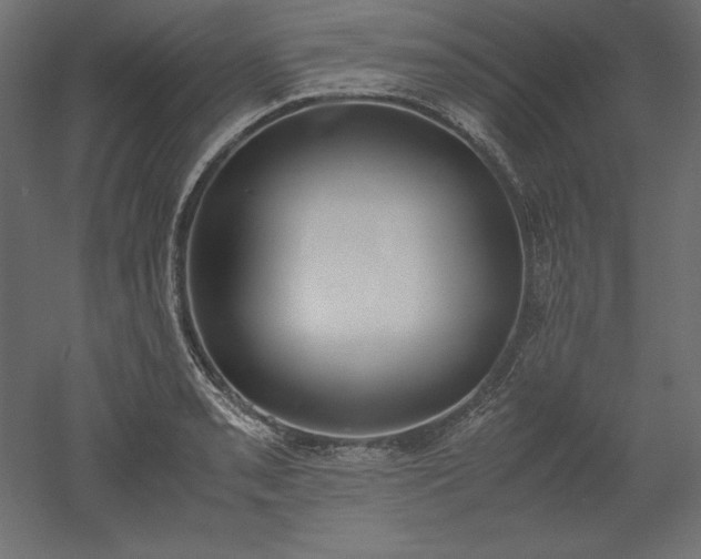 X0000051911085200507011527