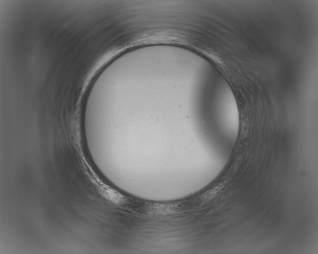 X0000051911086200507011527