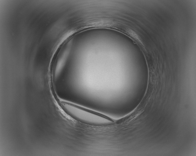 X0000051911087200507011527