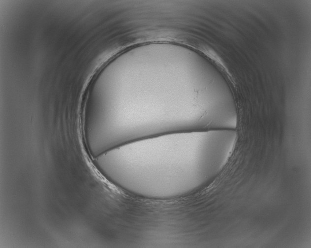 X0000051911088200507011527