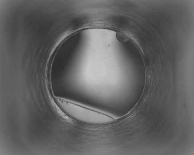 X0000051911091200507011527