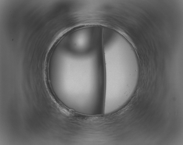 X0000051911093200507011527