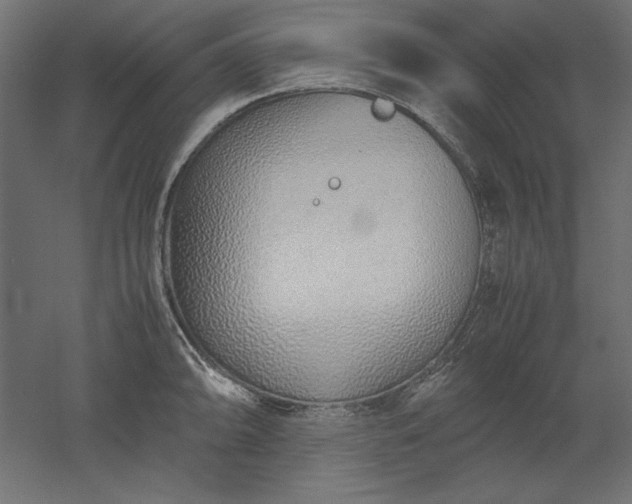 X0000051911094200507011527