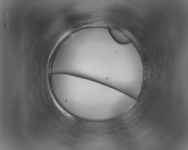 X0000051911095200507011527