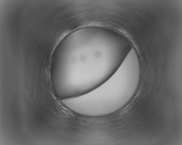 X0000051911097200507011527