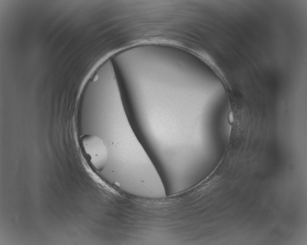 X0000051911100200507011527