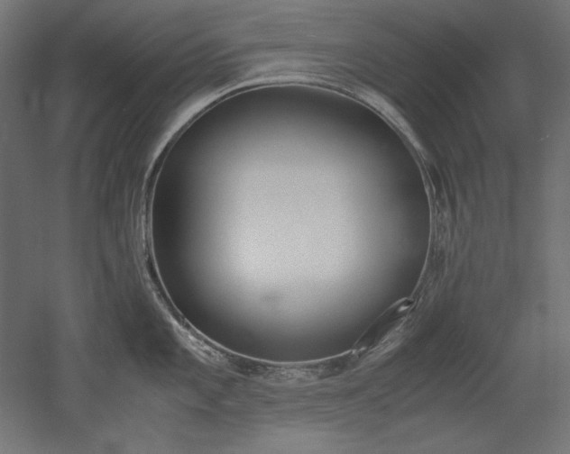 X0000051911101200507011527