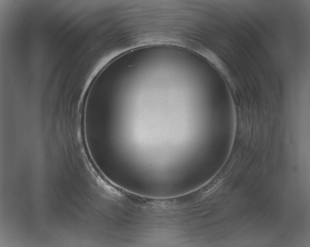 X0000051911102200507011527