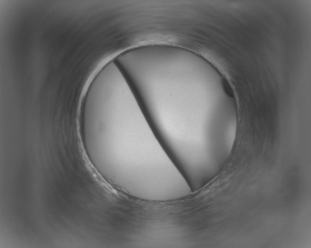 X0000051911104200507011527