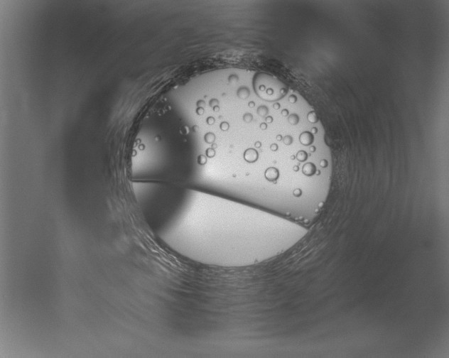 X0000051911105200507011526