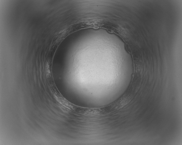 X0000051911106200507011526