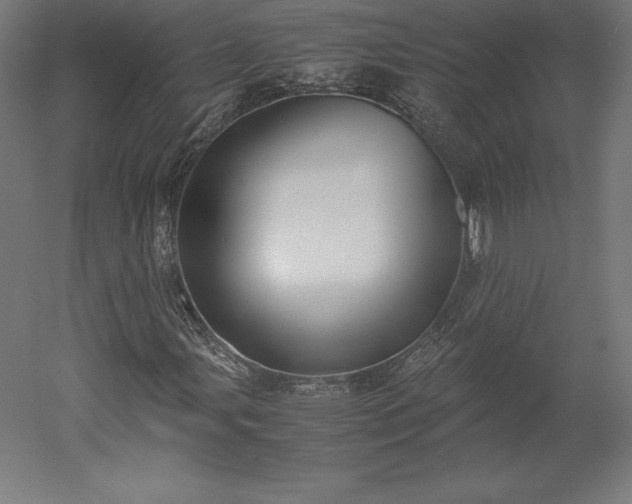 X0000051911107200507011526