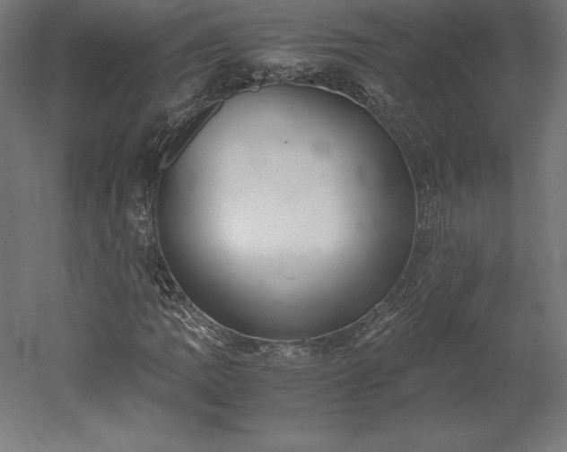 X0000051911109200507011526