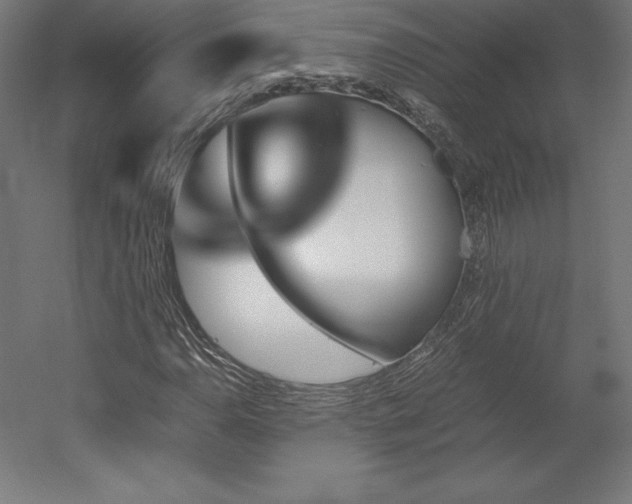 X0000051911110200507011526