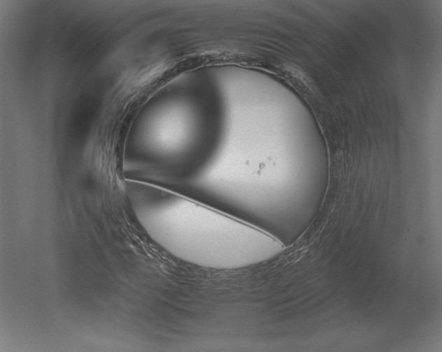 X0000051911111200507011526