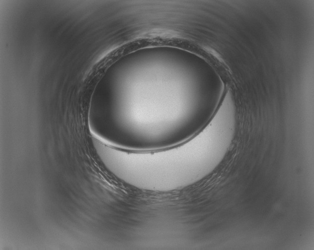 X0000051911112200507011526