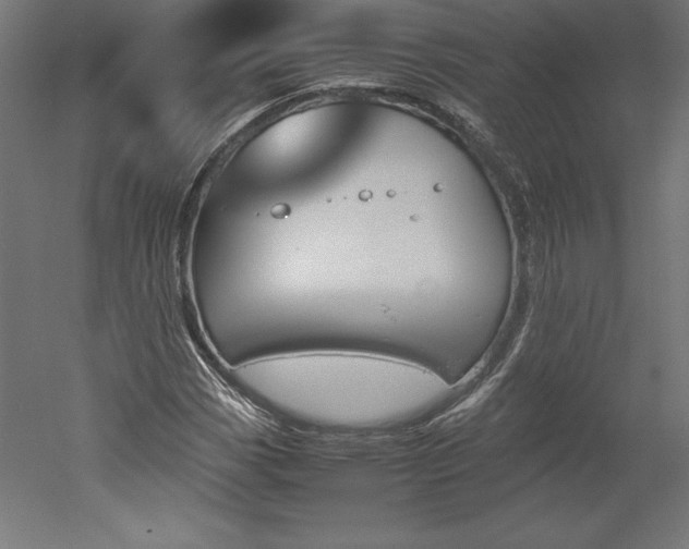 X0000051911113200507011526