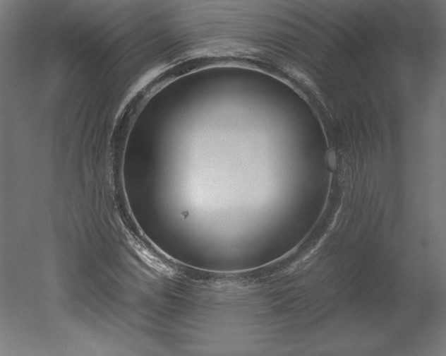 X0000051911114200507011526