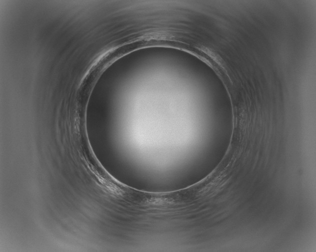 X0000051911115200507011526