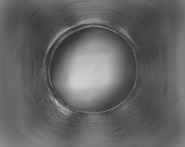 X0000051911116200507011526