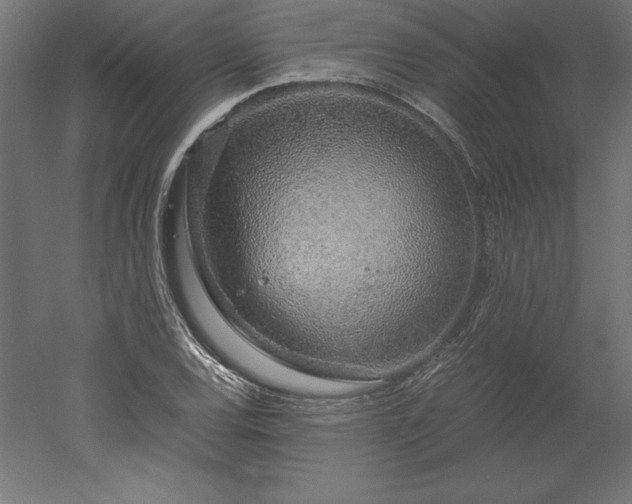 X0000051911120200507011526