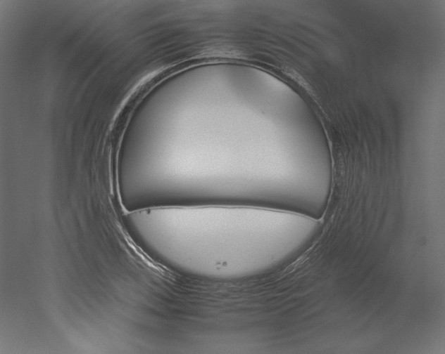 X0000051911123200507011526