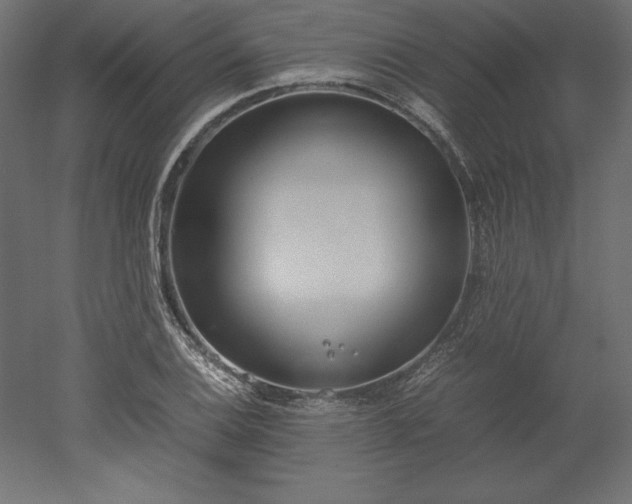 X0000051911124200507011526