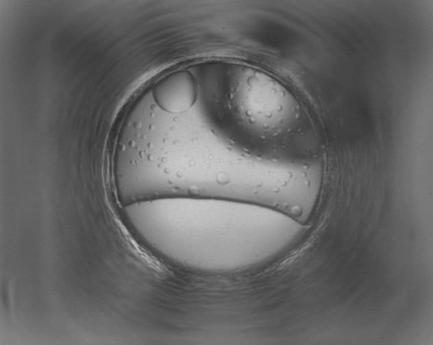 X0000051911125200507011526