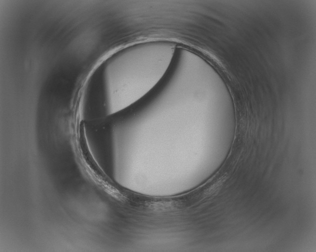 X0000051911126200507011526